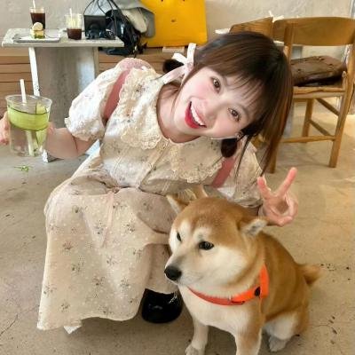 我和我的父辈 海报